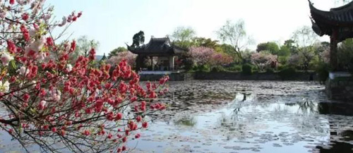 春天的美景图