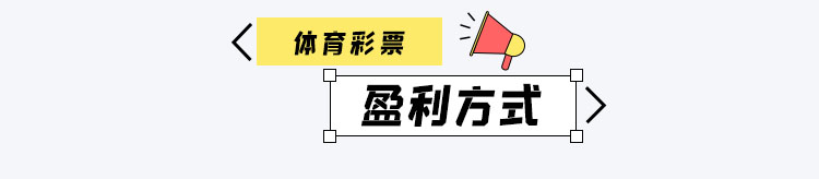 彩之家体育彩票盈利方式