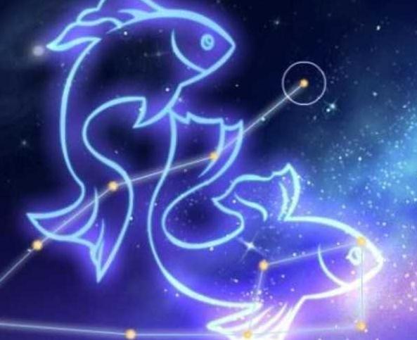 12星座中的双鱼座图