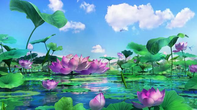 福彩3d第16201期字谜中的六月荷花图