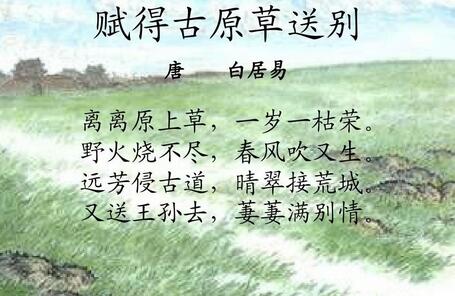 斩去草，除去根，三把火，又逢春