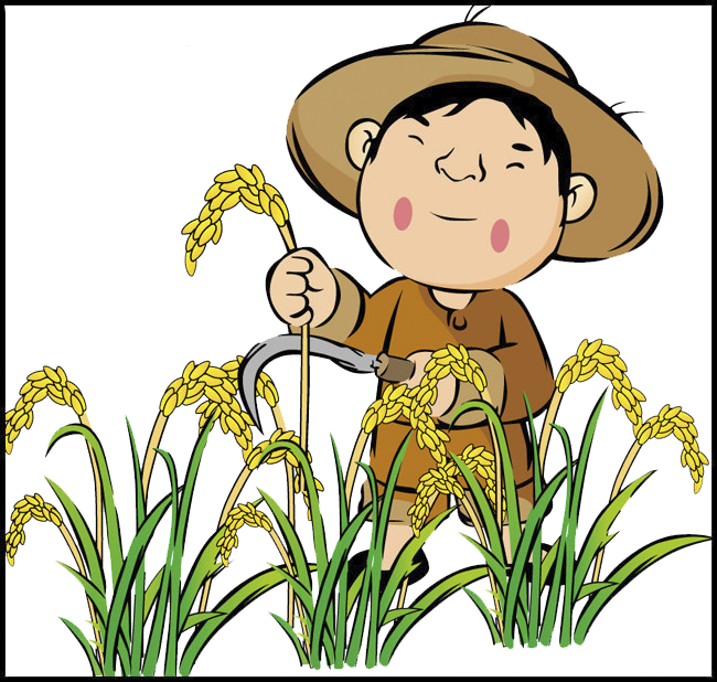 农民靠种粮食为生
