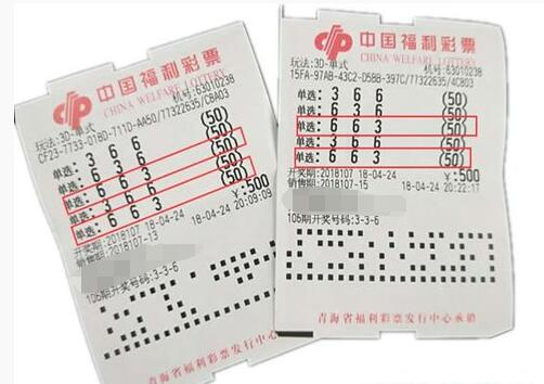 青海"3d"牛人独中200注揽20万余元奖金