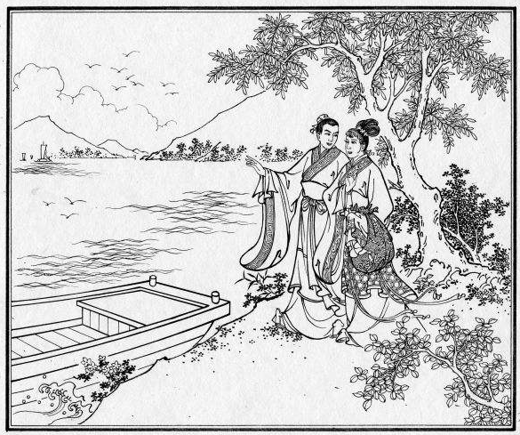 龙眼果，龟背竹，携西子，游五湖