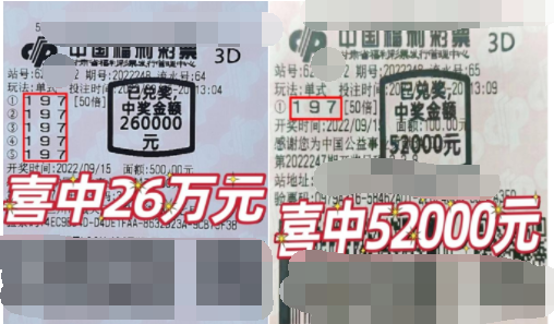 福彩3D游戏第2022248期中奖票样