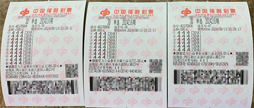 3D“豹子号”开出“444”，重庆彩民“逮住”今年首只喜“豹”！