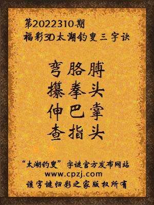福彩3d第2022310期太湖钓叟字谜