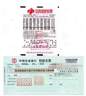 双色球第2016106期单式投注票样