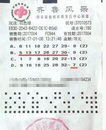 双色球第2017004期单式投注票样 双色球第2017004期单式投注票样