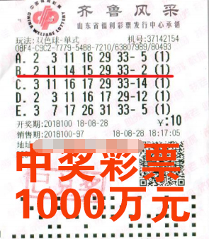 山东德州幸运彩友偶尔购彩10元收获1000万元