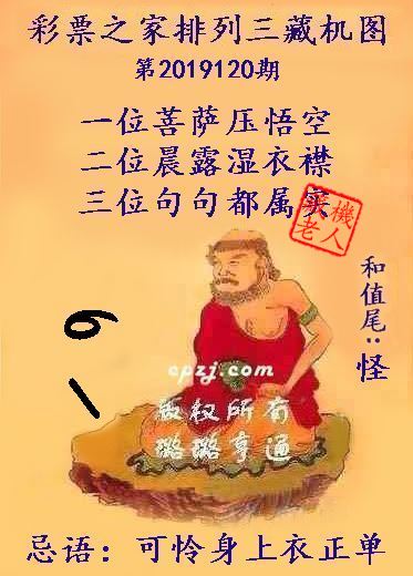 排列三第2019120期藏机图谜：可怜身上衣正单