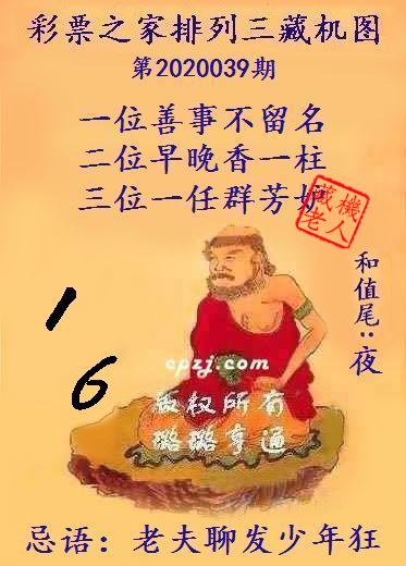 排列三第2020039期藏机图谜：老夫聊发少年狂