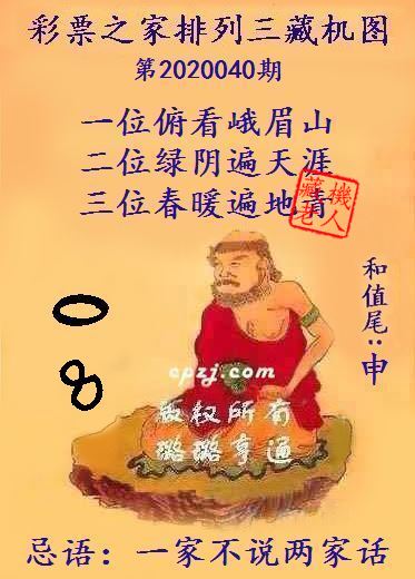 排列三第2020040期藏机图谜：一家不说两家话