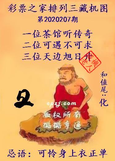 排列三第2020207期藏机图谜：可怜身上衣正单