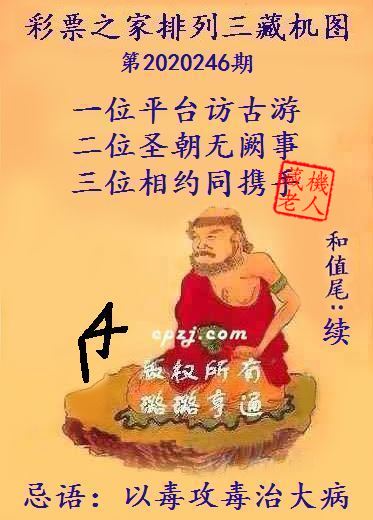 排列三第2020246期藏机图谜：以毒攻毒治大病