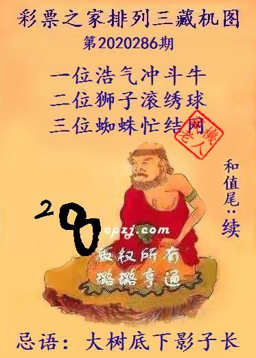 排列三第2020286期藏机图谜：大树底下影子长