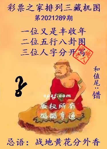 排列三第2021289期藏机图谜：战地黄花分外香