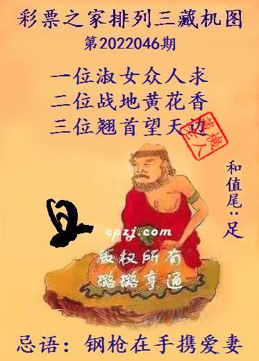 排列三藏机图第2022046期