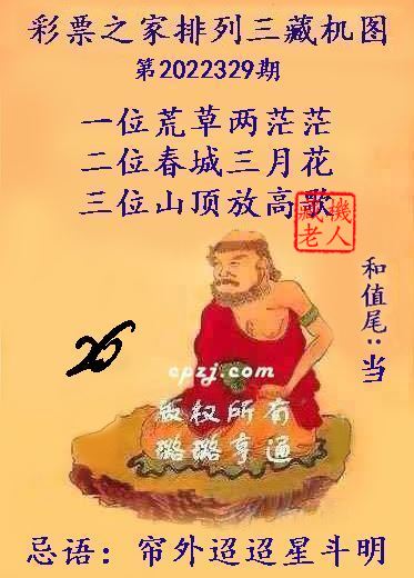 排列三第2022329期藏机图谜：帘外迢迢星斗明