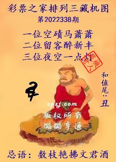 排列三第2022338期藏机图谜：数枝艳拂文君酒