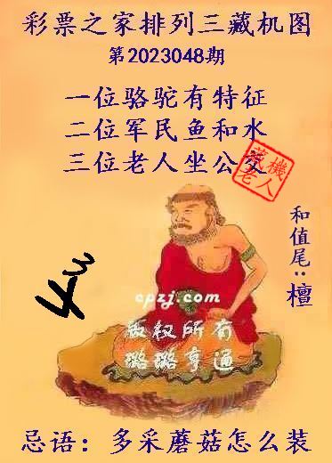 排列三第2023048期藏机图谜：多采蘑菇怎么装
