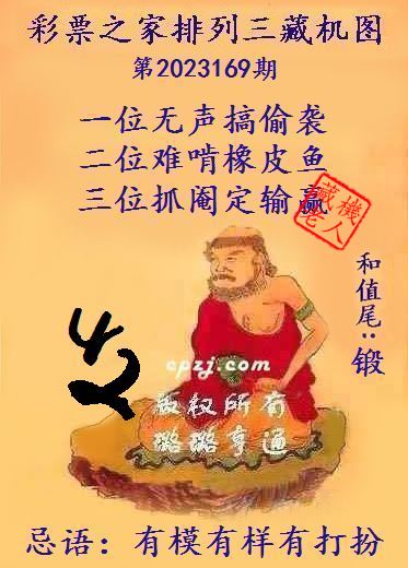 排列三第2023169期藏机图谜：有模有样有打扮