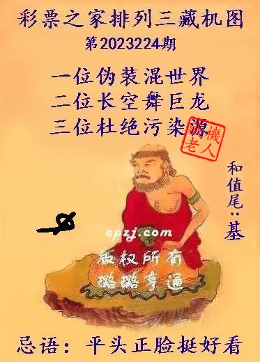 排列三第2023224期藏机图谜：平头正脸挺好看