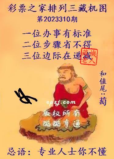 排列三第2023310期藏机图谜：专业人士你不懂