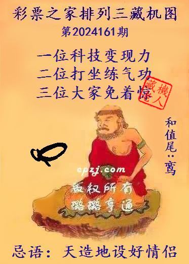 排列三第2024161期藏机图谜：天造地设好情侣