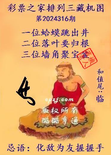 排列三第2024316期藏机图谜：化敌为友握握手