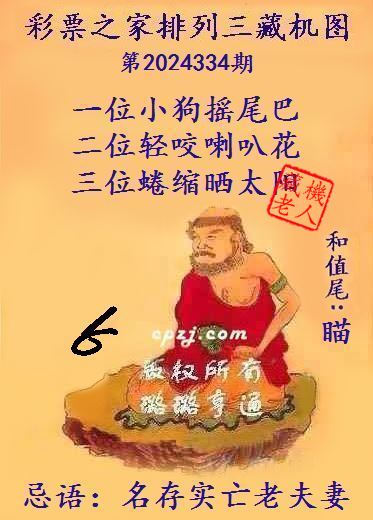 排列三第2024334期藏机图谜：名存实亡老夫妻