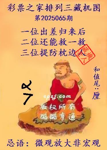排列三第2025065期藏机图谜：微观放大非宏观