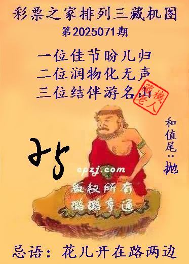 排列三第2025071期藏机图谜：微观放大非宏观