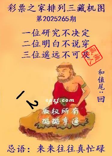 排列三第2025265期藏机图谜：来来往往真忙碌