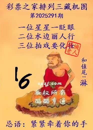 藏机老人第2025291期排列三图迷