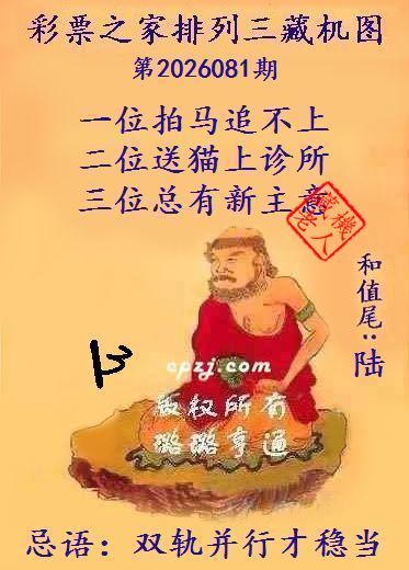 排列三第2026081期藏机图谜：双轨并行才稳当