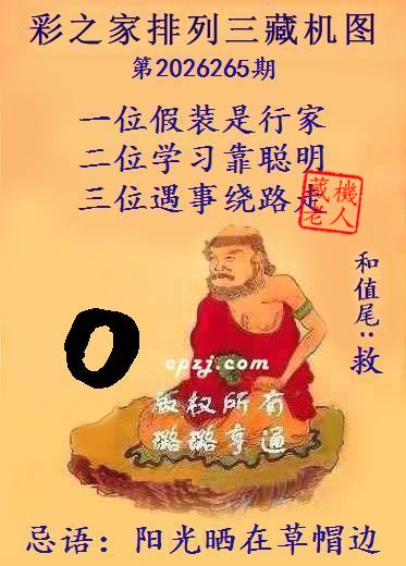 排列三第2026265期藏机图谜:阳光晒在草帽边