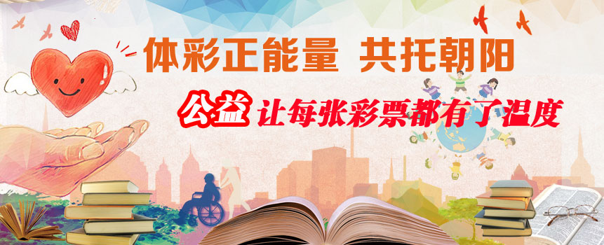 体彩正能量 因为公益每一张彩票都有了温度