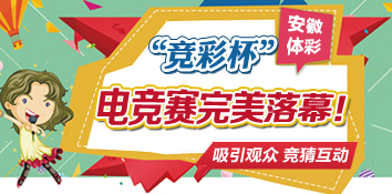 安徽省体彩彩民运动会电子竞技比赛落幕