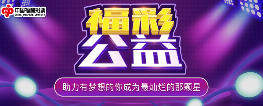《中国福利彩票公益发展蓝皮书》发布