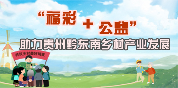 “福彩+公益”助力贵州黔东南乡村产业发展
