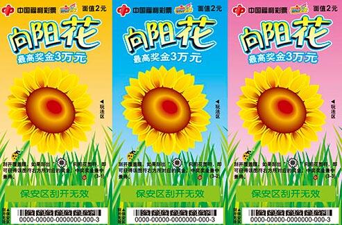 向阳花卡的正面展示