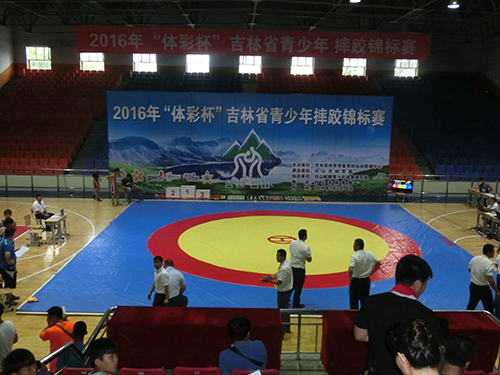 2016年吉林省“体彩杯”摔跤锦标赛在白山举行