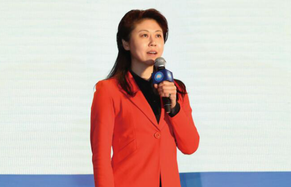 机房设备分会副理事长兼秘书长蔡红戈发言