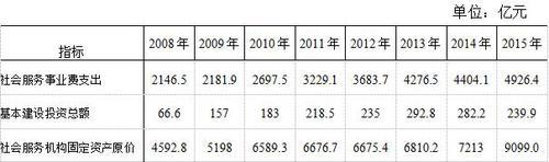表2：社会服务基本情况