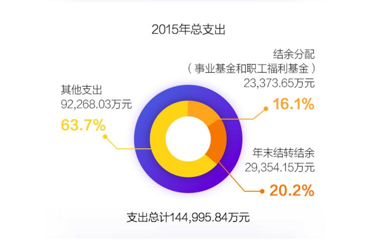 2015年总支出