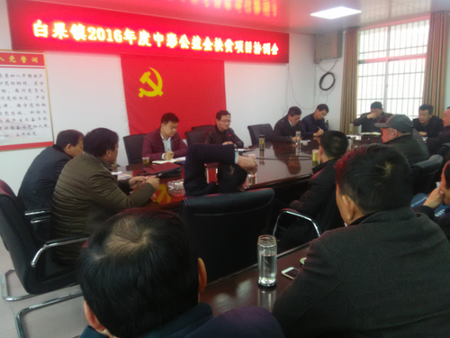 七个中央彩票公益金扶贫项目集中落户湖北白果镇