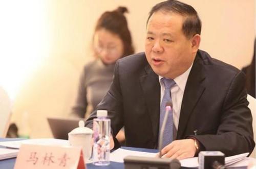 全国人大代表马林青