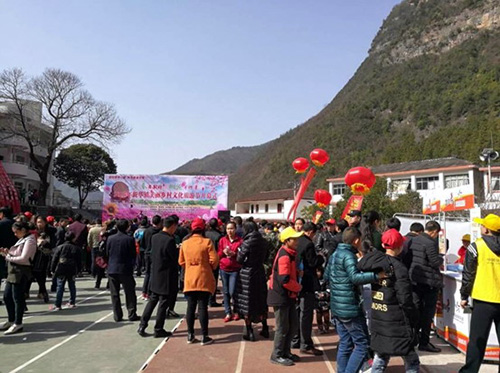 神农架体彩参与桃花节活动