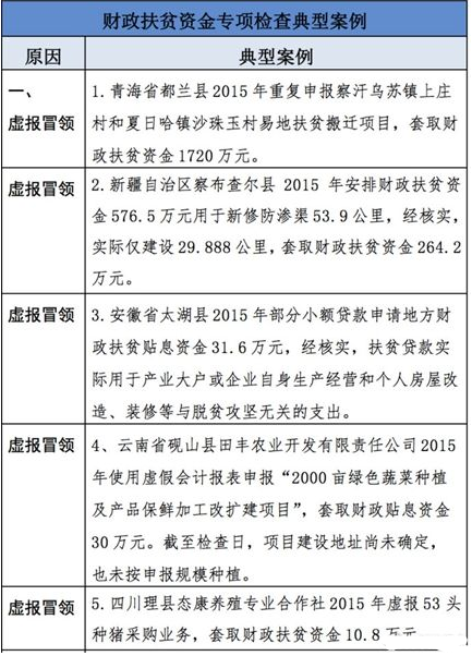 财政扶贫资金专项检查典型案例